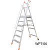 Winner Heavy Duty Platform Trolley Ladder