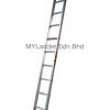 Winner Single Pole Ladder