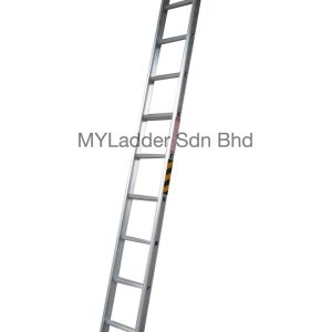 Winner Single Pole Ladder