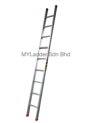 Winner Single Pole Ladder