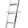 Winner Single Pole Ladder