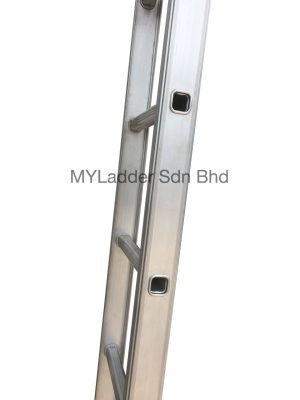 Winner Single Pole Ladder