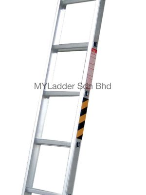 Winner Single Pole Ladder