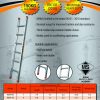 Winner Single Pole Ladder