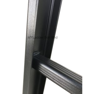 Winner Single Pole Customized